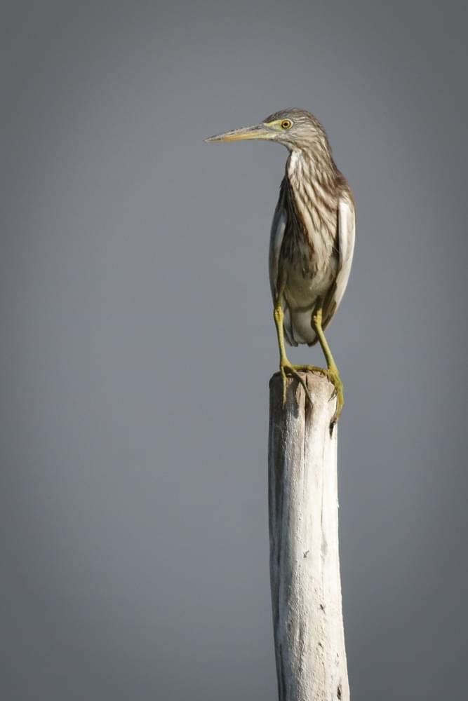 NICC International College of Design Bangalore Events photo 80